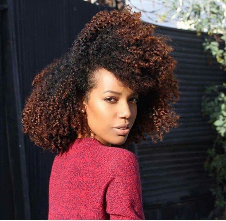 Natural Hairstyles With Color
 17 best images about Natural Hair ♡ on Pinterest