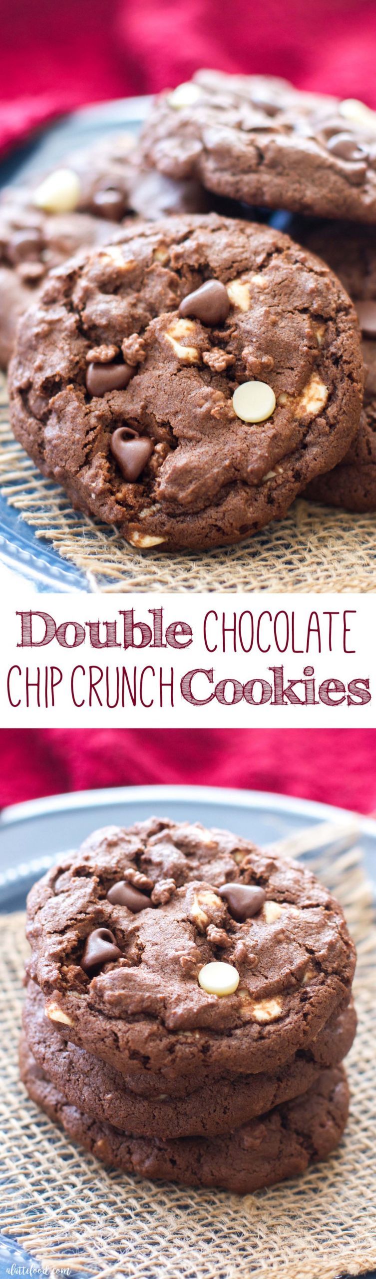 Nestle Double Chocolate Chip Cookies
 These rich double chocolate chip cookies are full of white