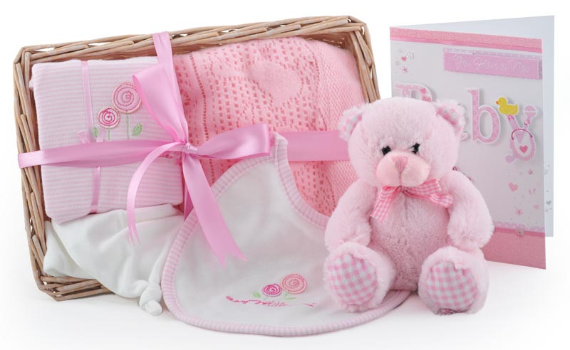 New Baby Girl Gift
 Bear and Bundle Baby Girl Gift Basket At £39 99