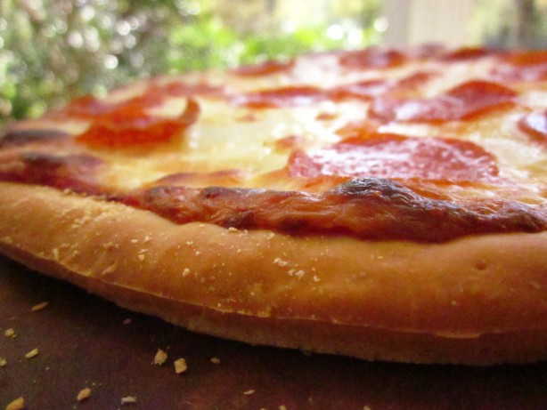 New York Pizza Dough
 Basic New York style Pizza Dough Recipe — Dishmaps