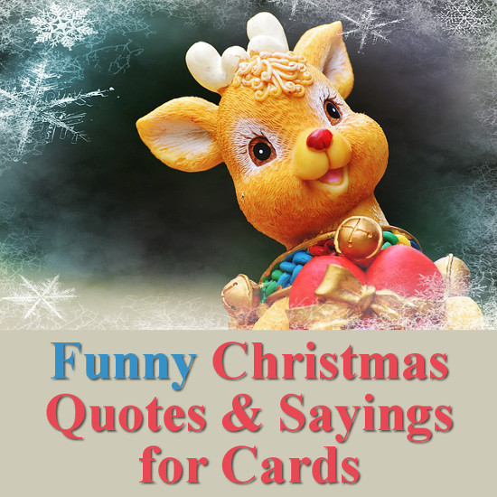 Nice Christmas Quotes
 Funny Christmas Quotes for Cards and Crafts