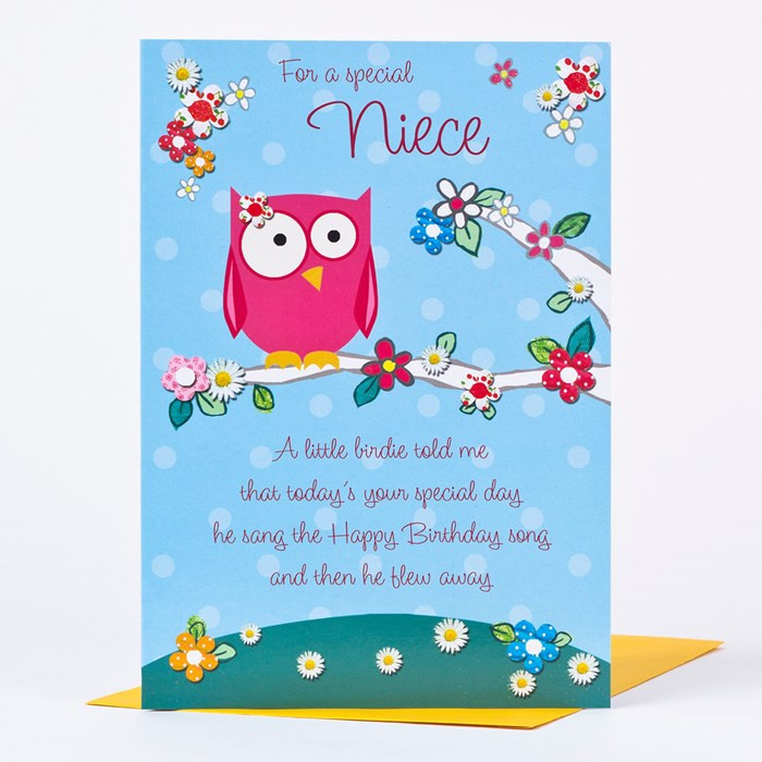 Niece Birthday Card
 Birthday Card Special Niece Owl Design