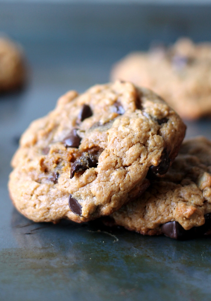 Oatmeal Cookies Without Flour
 Peanut Butter Oatmeal Chocolate Chip Cookies flourless
