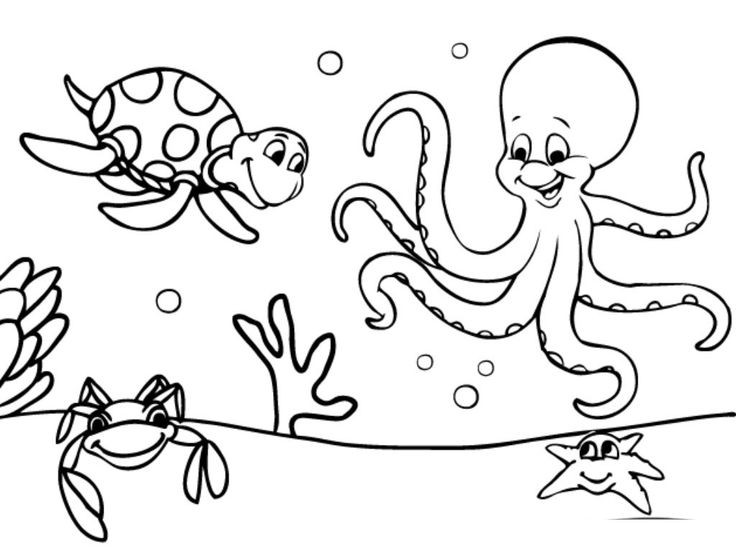 Ocean Coloring Pages For Kids
 Download Amazing Printable Ocean Coloring Pages For Free