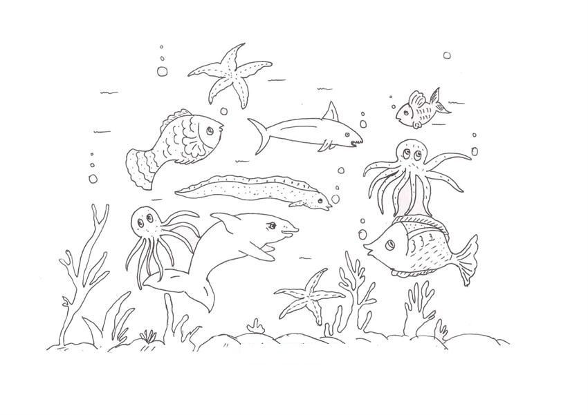 Ocean Coloring Pages For Kids
 Ocean Coloring Pages kid activity