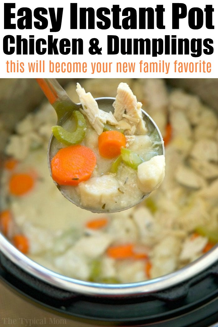 One Pot Chicken And Dumplings
 Instant Pot Chicken and Dumplings Recipe · The Typical Mom