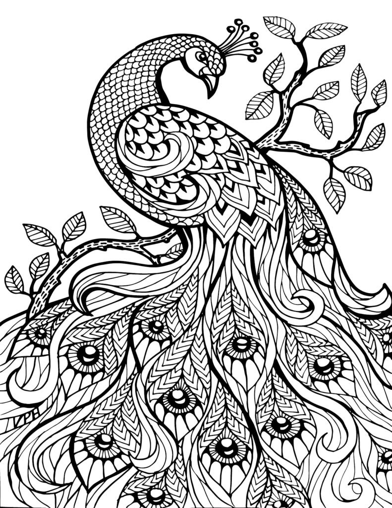 Online Coloring Books For Adults
 Coloring Pages Free Printable Coloring Book Pages Best