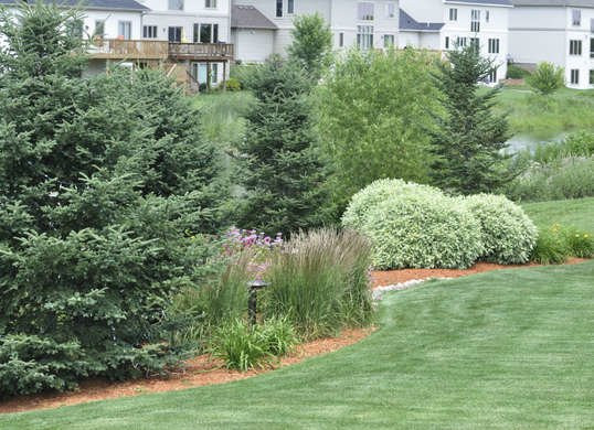 Outdoor Landscape Trees
 Trouble Free Trees Low Maintenance Landscaping 17