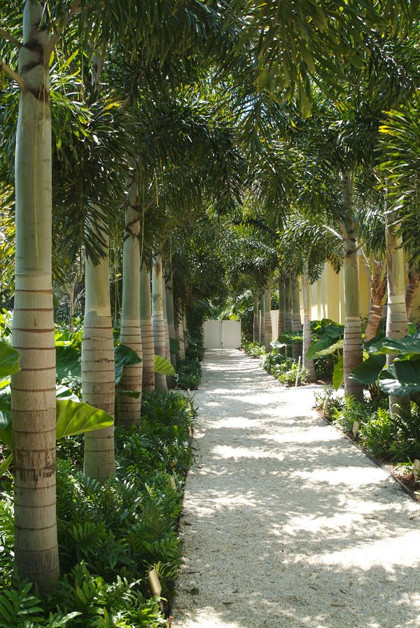 Outdoor Landscape Trees
 Residential Landscape design and services in Dana Point