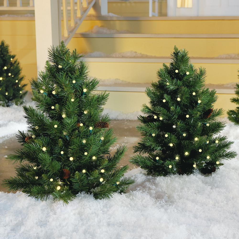 Outdoor Lighted Christmas Trees
 Outdoor Christmas Decoration