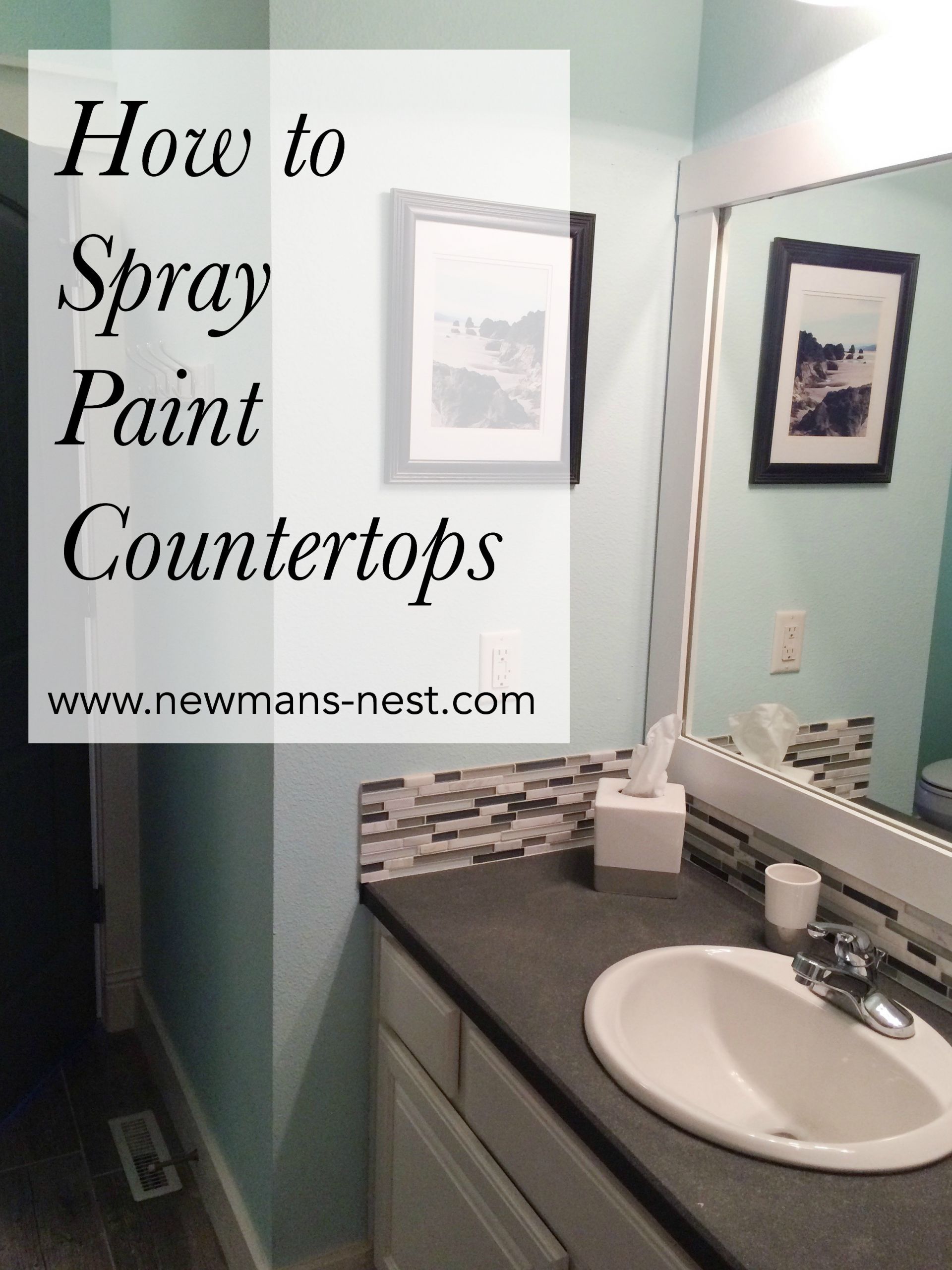 Painted Bathroom Countertop
 Spray Painted Countertops – Newman s Nest