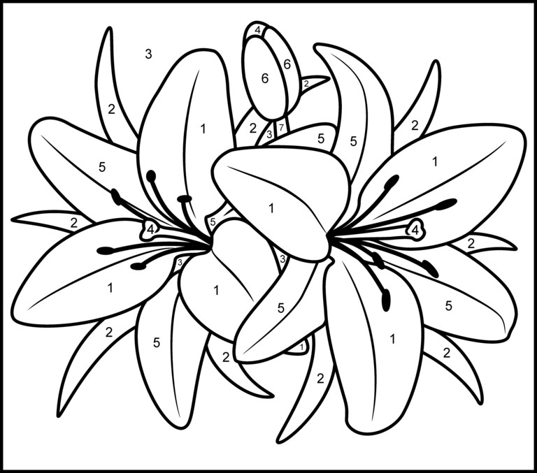 Painting Games For Adults
 Lily Printable Color by Number Page kwiaty
