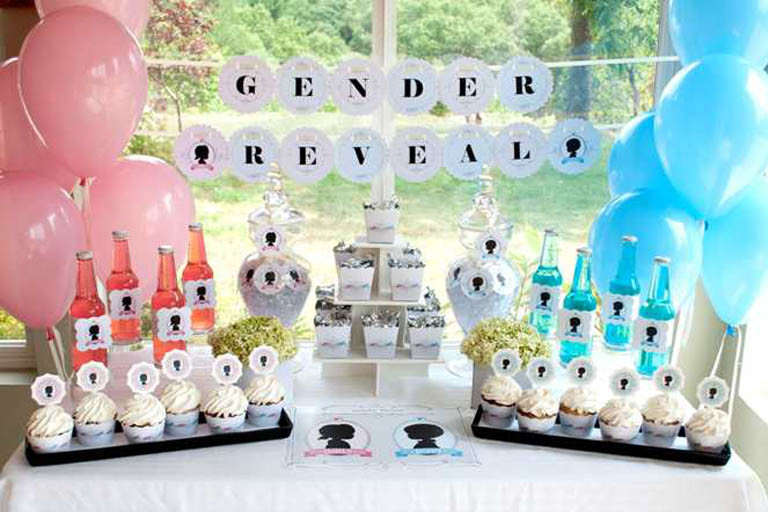 Party Gender Reveal Ideas
 Unique Baby Gender Reveal Party Ideas That You’ll Love