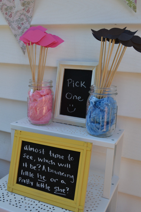 Party Ideas For Gender Reveal Party
 25 Gender Reveal Party Ideas C R A F T