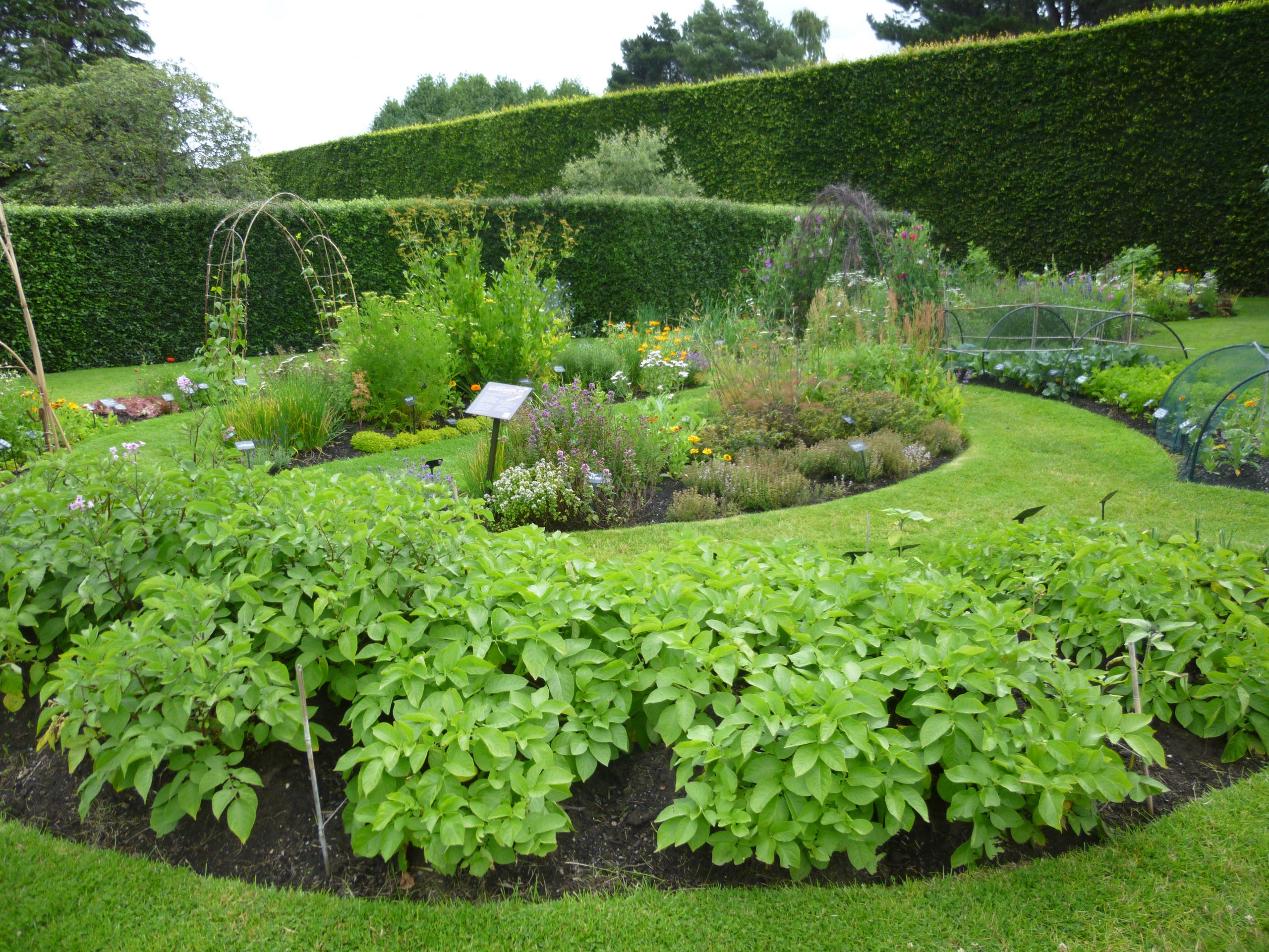 Patio And Landscaping
 What to do in your Fruit and Ve able Garden in Scotland