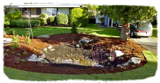 Patio And Landscaping
 Rain Gardens
