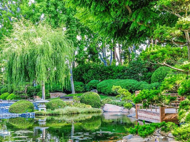 Patio And Landscaping
 Earl Burns Miller Japanese Garden