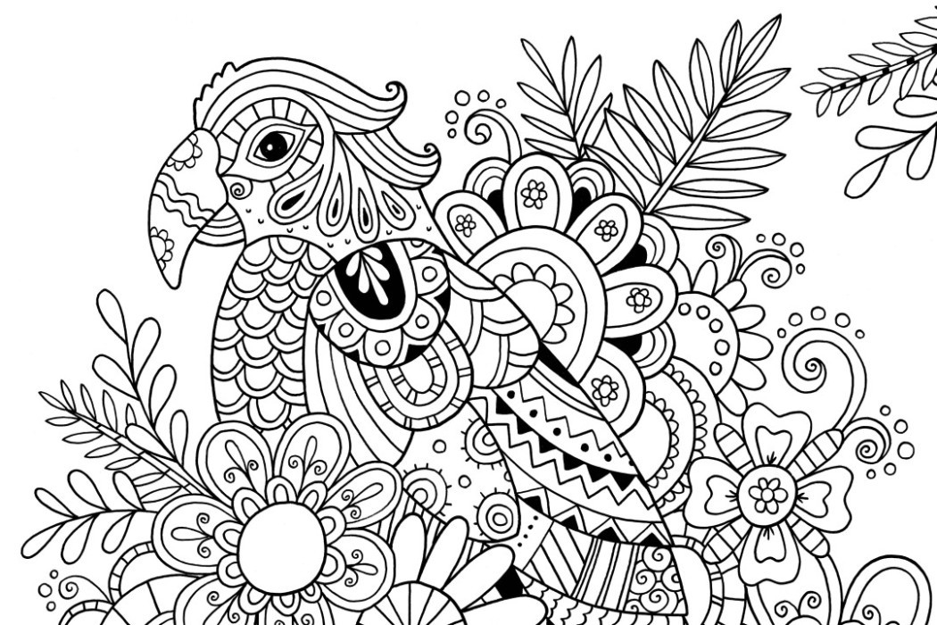 Pattern Coloring Pages For Kids
 How to Draw Zentangle Patterns Hobbycraft Blog