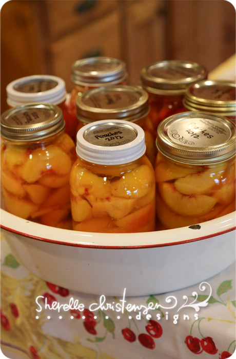 Peach Canning Recipes
 Canning Peaches Nectarines & Plums and a canned fruit