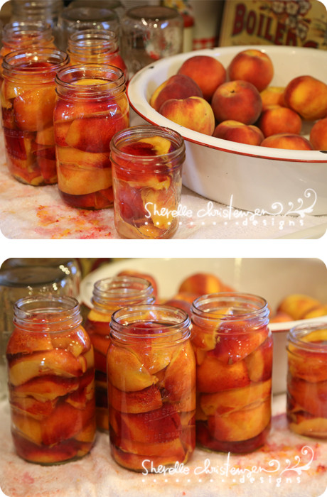 Peach Canning Recipes
 Canning Peaches Nectarines & Plums and a canned fruit