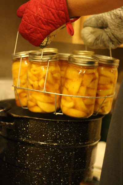 Peach Canning Recipes
 Canning Peaches No Sugar Recipe Easy and Delicious