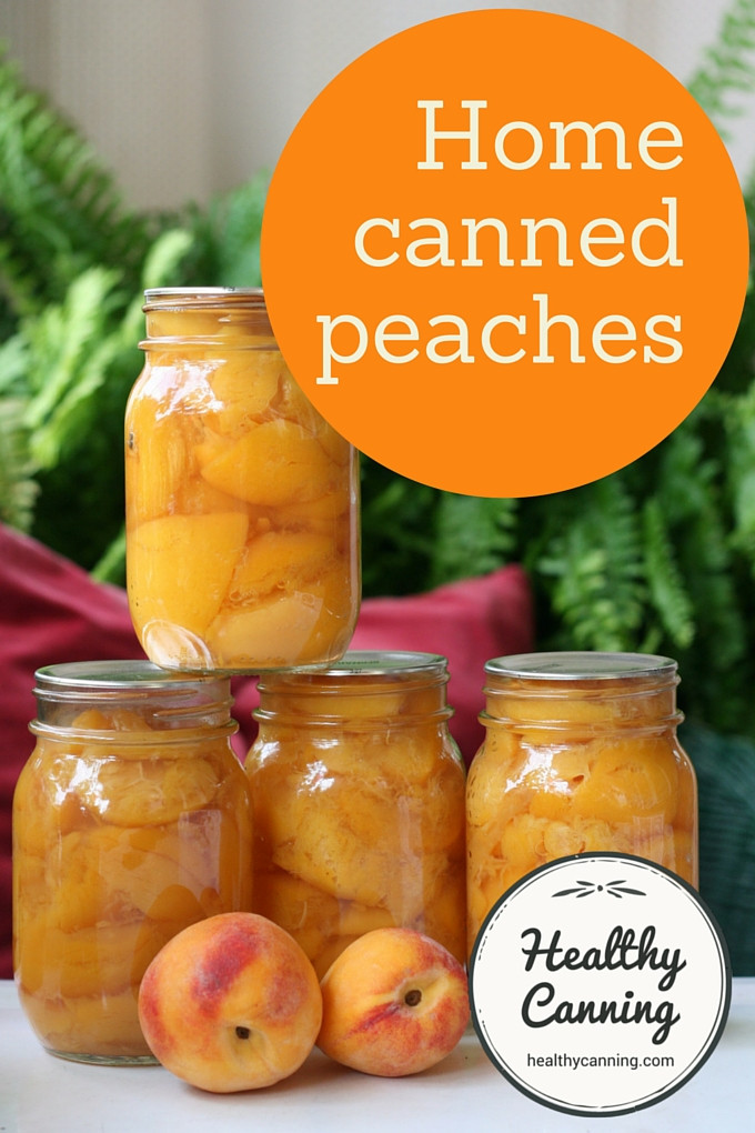 Peach Salsa Recipe For Canning
 peach salsa canning recipe ball