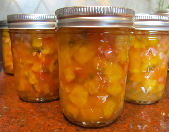 Peach Salsa Recipe For Canning
 Peachy Mango Salsa Canned For Chris Recipe Low
