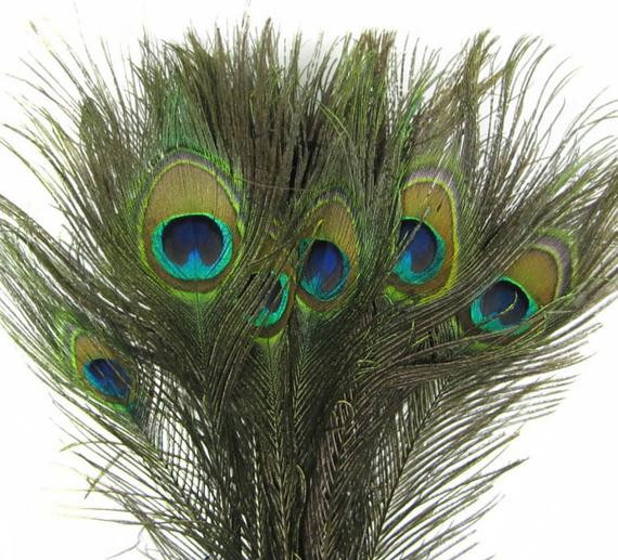 Peacock Wedding Decorations For Sale
 Peacock Feathers 200 Real Natural Peacock Feather With Eye