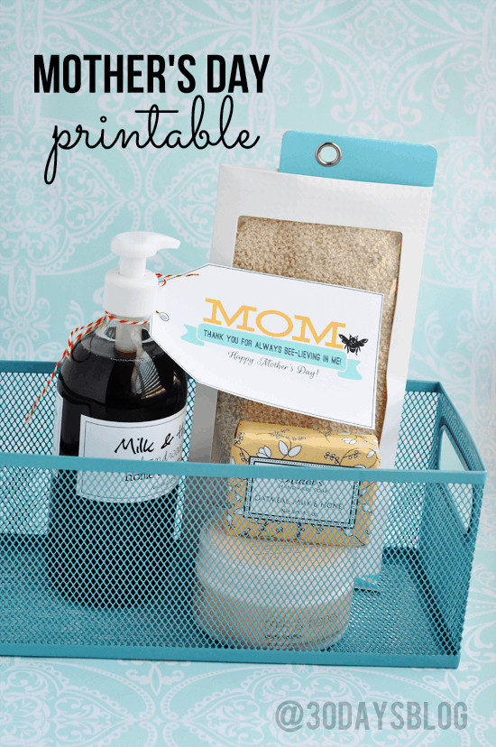 Perfect Mother'S Day Gift Ideas
 Inexpensive DIY Mother s Day Gift Ideas