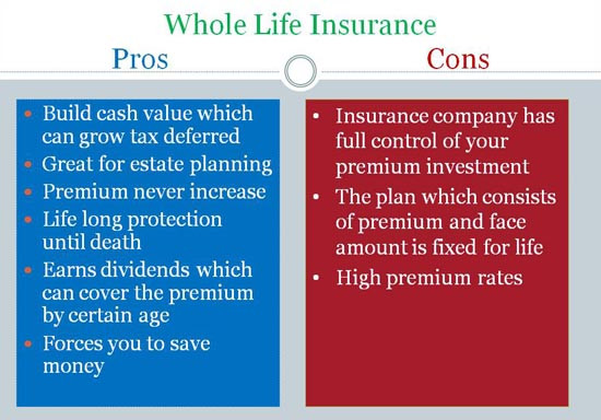 Permanent Life Insurance Quote
 pare Life Insurance Quotes Insurance Quotes