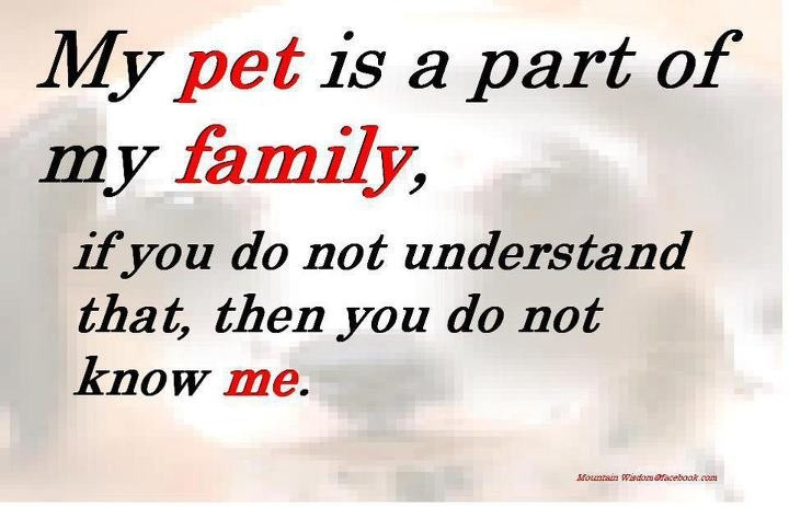 Pets Are Family Quotes
 Quotes About Family As Pets QuotesGram