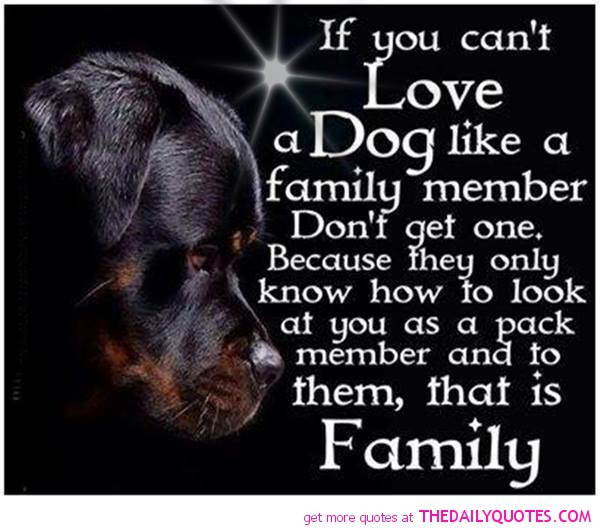 Pets Are Family Quotes
 Pets As Family Quotes QuotesGram