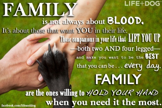 Pets Are Family Quotes
 Pet Inspirational Quotes QuotesGram