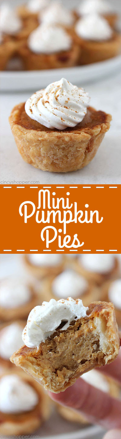 Pinterest Thanksgiving Desserts
 Mini Pumpkin Pies CincyShopper