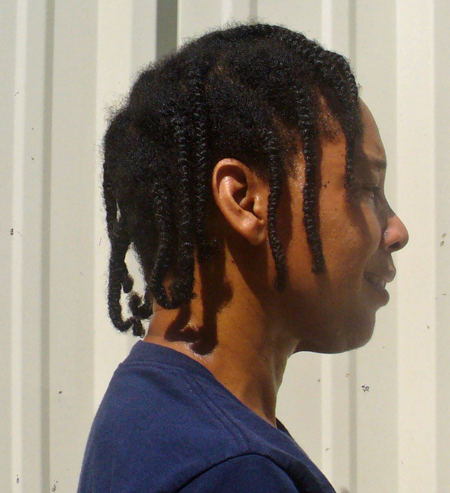 Plaits Braids Hairstyles
 JDNatlady s Natural Hair Blog Braids Plaits or Box