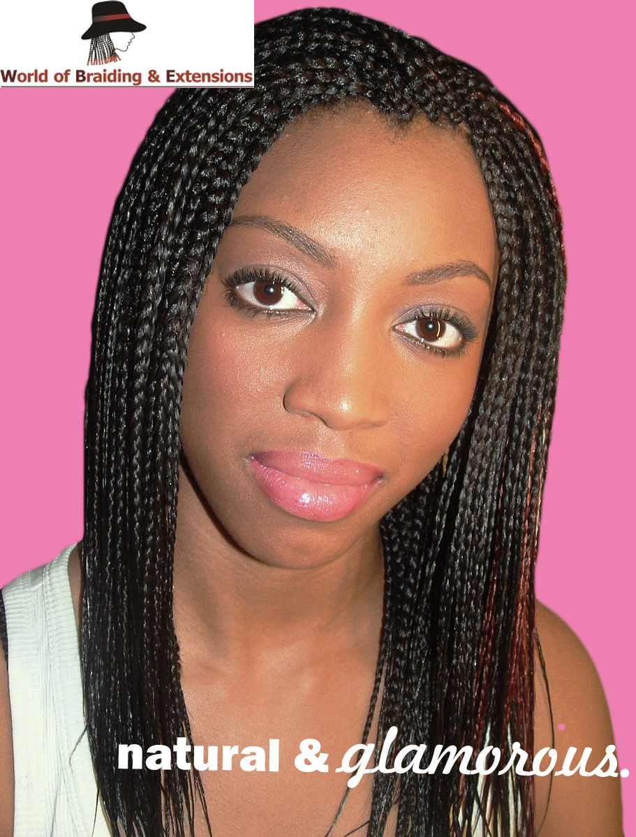 Plaits Braids Hairstyles
 protective natural hairstyles