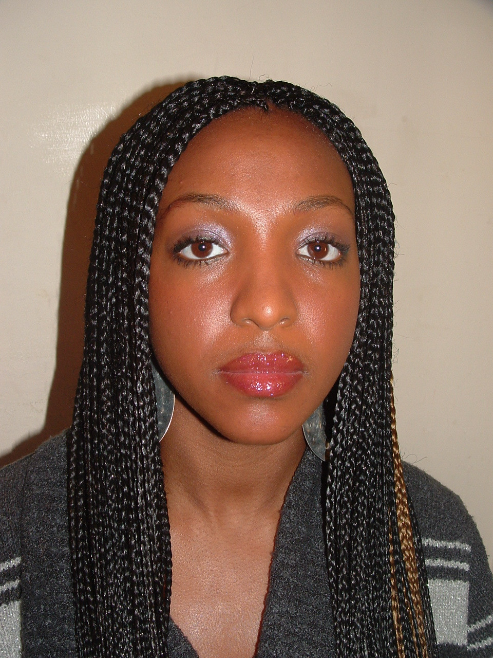 Plaits Braids Hairstyles
 protective natural hairstyles