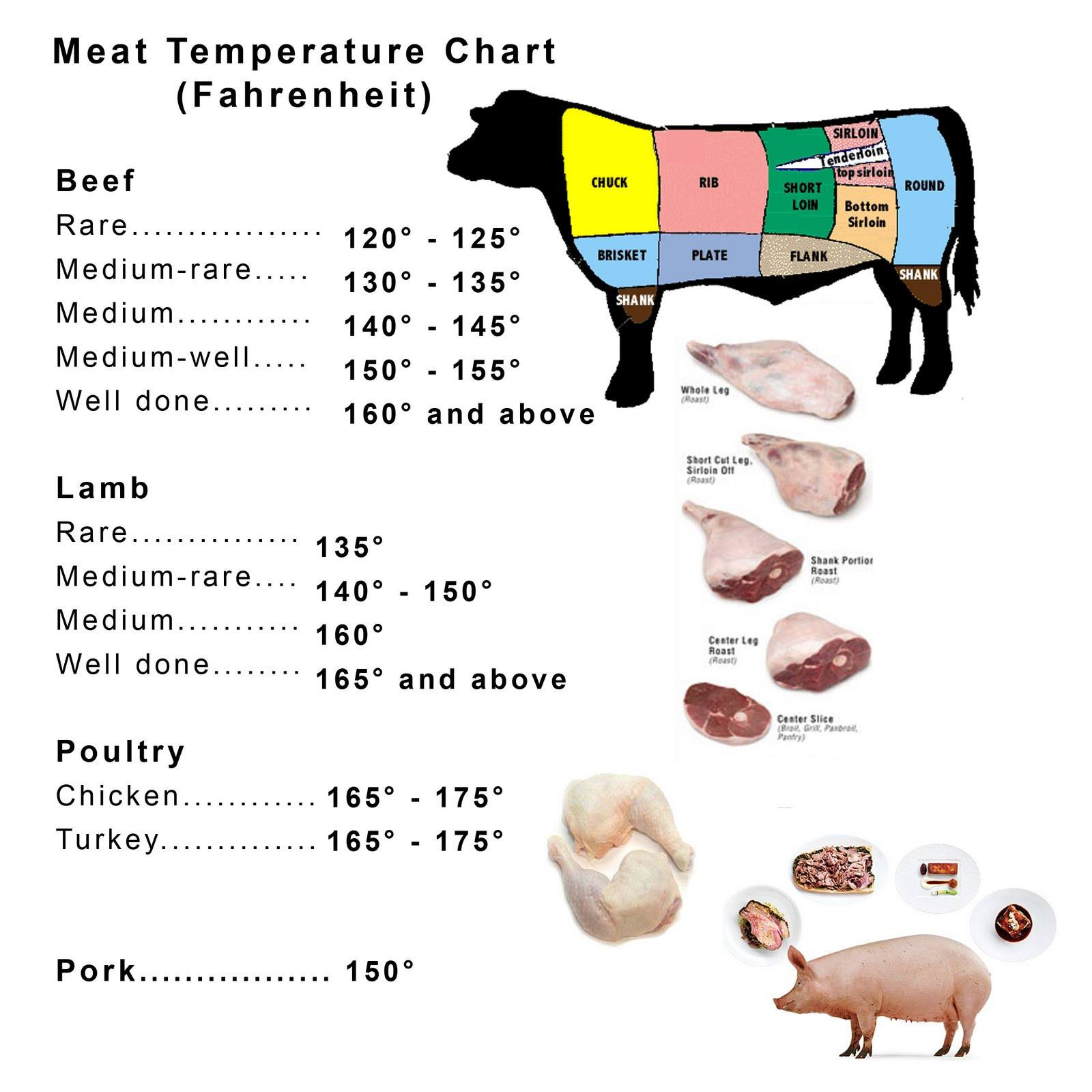 Pork Sausage Cooking Temp
 The Idiot s Guide To The Perfectly Easy BBQ