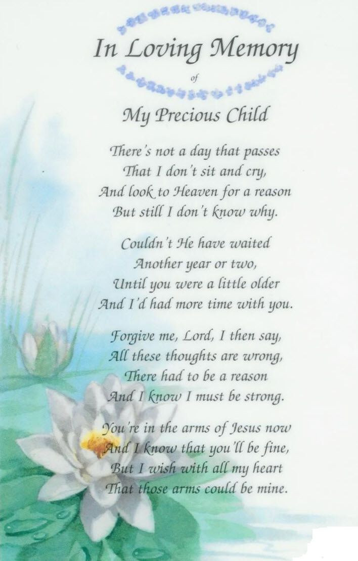 Precious Child Quotes
 In Loving Memory Baby Poems