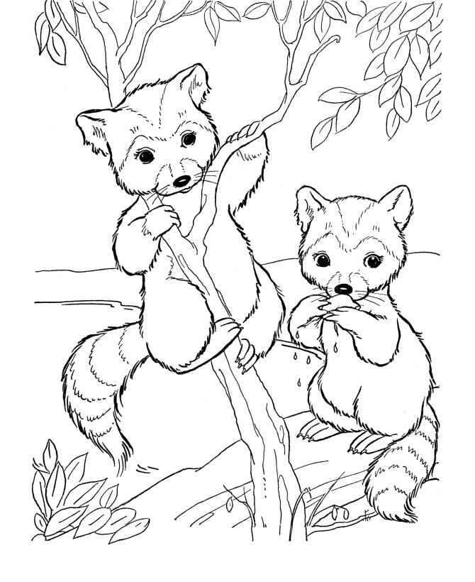 Printable Animal Coloring Pages For Kids
 Wild Animal Coloring Pages