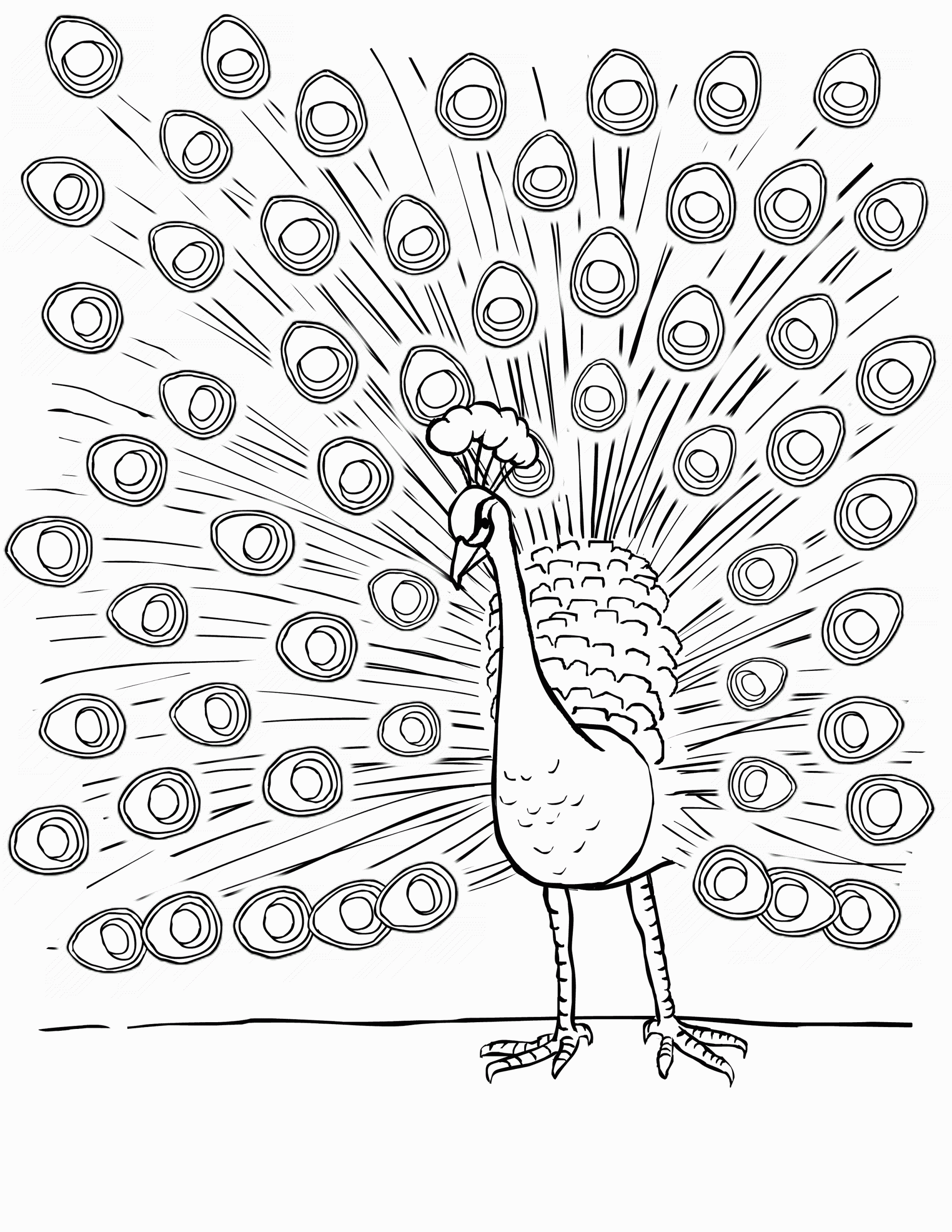 Printable Coloring For Kids
 Free Printable Peacock Coloring Pages For Kids