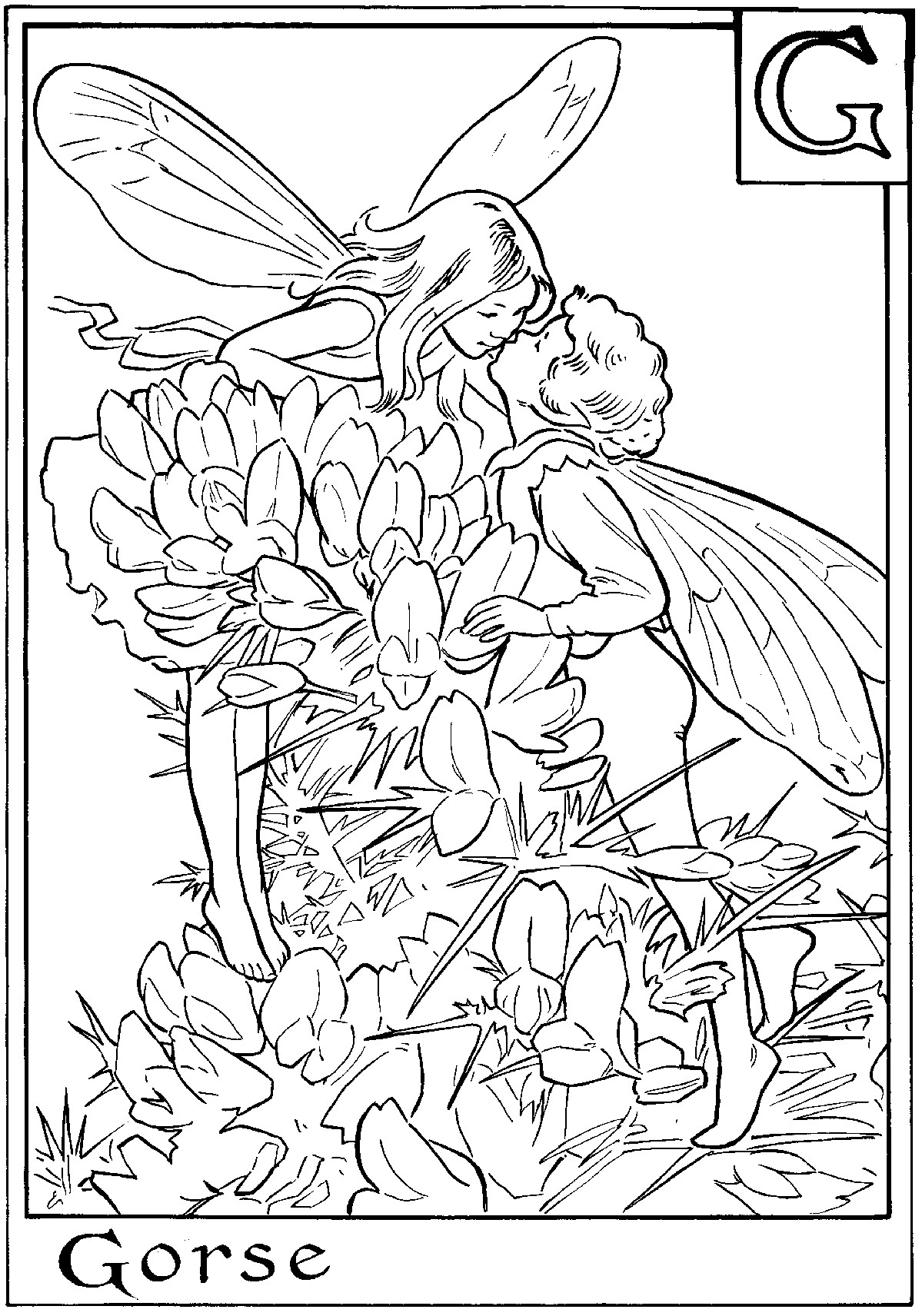 Printable Coloring For Kids
 Free Printable Fairy Coloring Pages For Kids