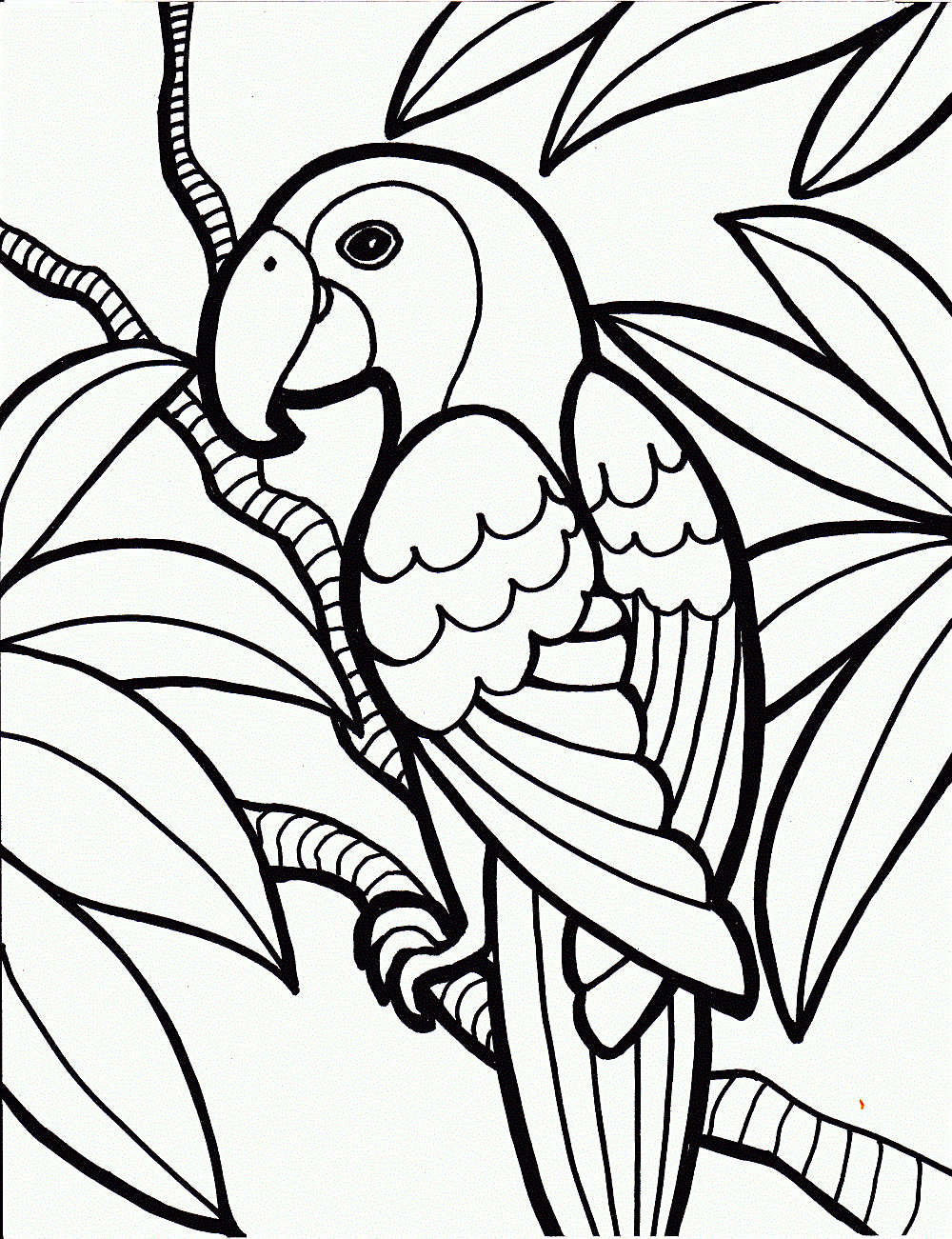 Printable Coloring Pages For Children
 beautiful parrot coloring pages for kids to color in