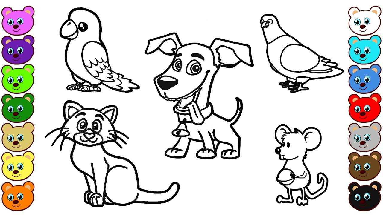 Printable Coloring Pages For Kids Animals
 Learn Colors for Kids with Home Animals Coloring Pages