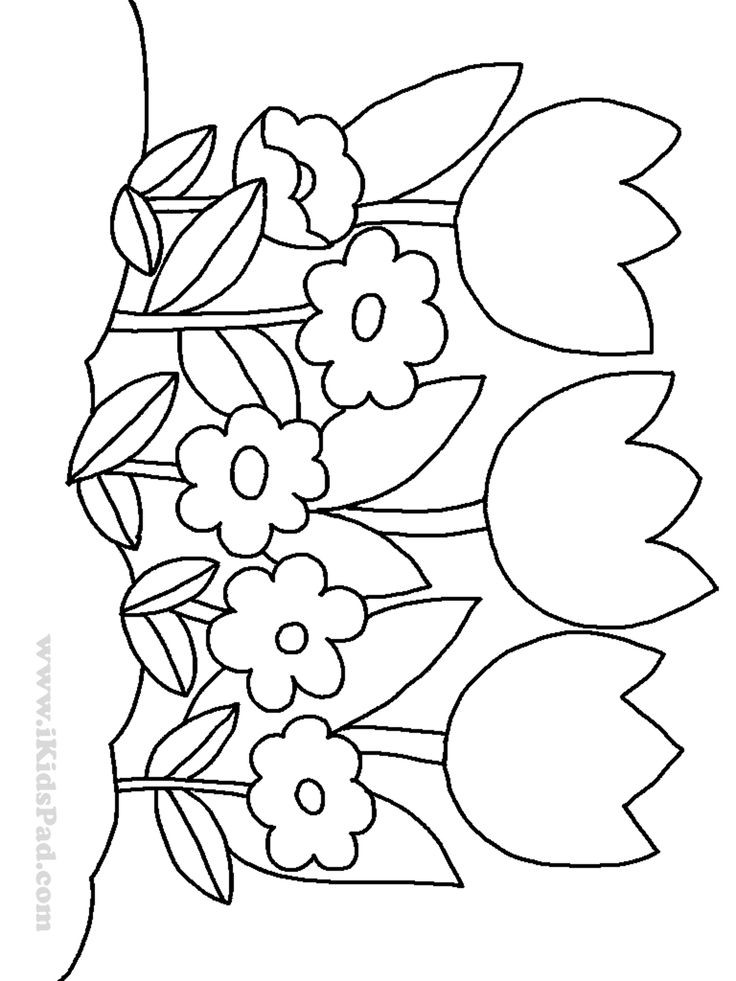 Printable Flower Coloring Pages For Kids
 row of tulip flowers coloring pages for kids