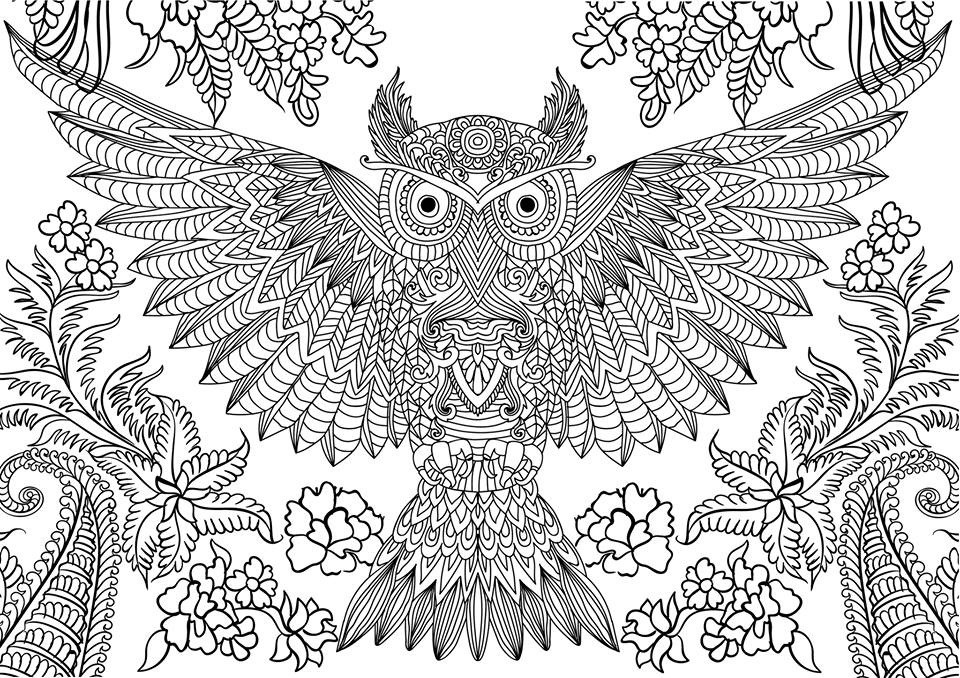 Printable Owl Coloring Pages For Adults
 10 Difficult Owl Coloring Page For Adults