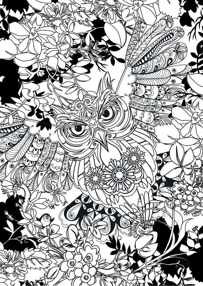 Printable Owl Coloring Pages For Adults
 Owl colouring Colouring Pages