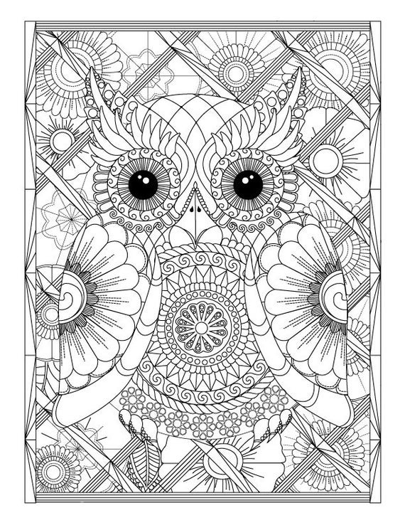 Printable Owl Coloring Pages For Adults
 Owl and Flowers Advanced Coloring Page for Adults Printable