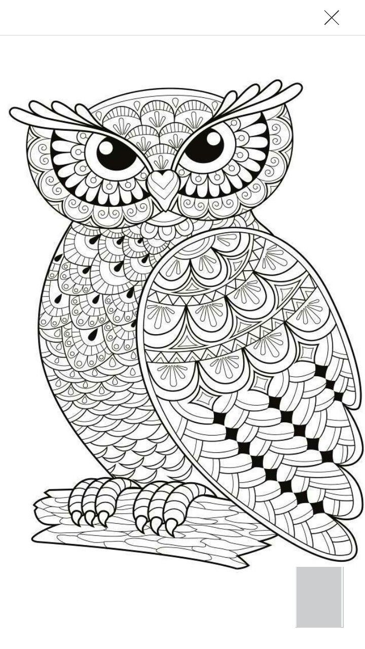 Printable Owl Coloring Pages For Adults
 Owl coloring page …