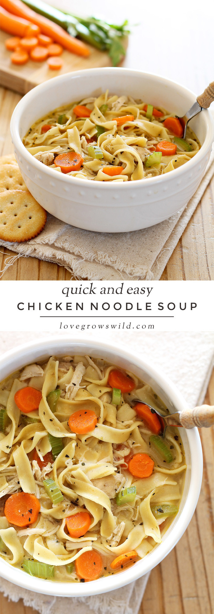 Quick Chicken And Noodles
 Quick and Easy Chicken Noodle Soup Love Grows Wild